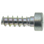 Гвинт із циліндричною головкою ST IS-P6 x 19 оригінал 90744784435