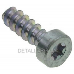 Гвинт із циліндричною головкою ST IS-P6 x 19 оригінал 90744784435 2