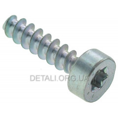 Гвинт із циліндричною головкою ST IS-P5 x 20 оригінал (9074-478-4135) 2