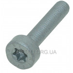 Винт IS-M5x25 бензопилы ST MS 361 оригинал 90223711050