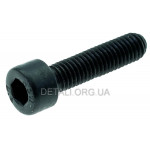 Болт кріплення зубчастого упору бензопили М5*19мм Goodluck 4500/5200