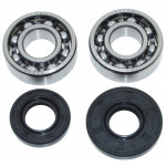 Комплект бензопилы GoodLuck 4500 сальники (15*35*5/15*28*5) + подшипники 6202 коленвала Комплект бензопилы GoodLuck 4500 сальники (15*35*5/15*28*5) + подшипники 6202 коленвала