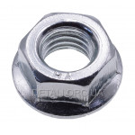 Гайка шины бензопилы Goodluck 2500/3800/4500/5200/5800/6200