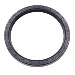 Сальник 100*120*12 TC