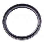 Сальник 100*120*12 TC