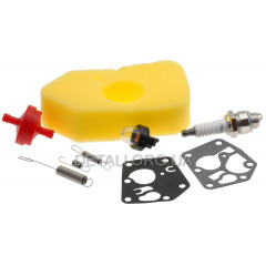 Карбюратор Briggs & Stratton + повна комплектація двигуна 494406 2