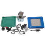 Карбюратор Briggs & Stratton 799869/792253 (повний комплект)