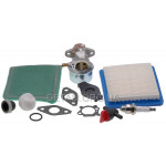 Карбюратор Briggs & Stratton 799869/792253 (повний комплект)