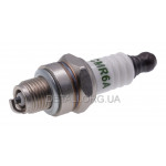 Свічка запалювання TORCH CMR6A (L49 M10)