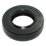 Сальник Candy 22*40*10/11,5 WLK