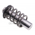 Плунжер насоса мийки високого тиску Compass PHW160 (d12 L54 мм)